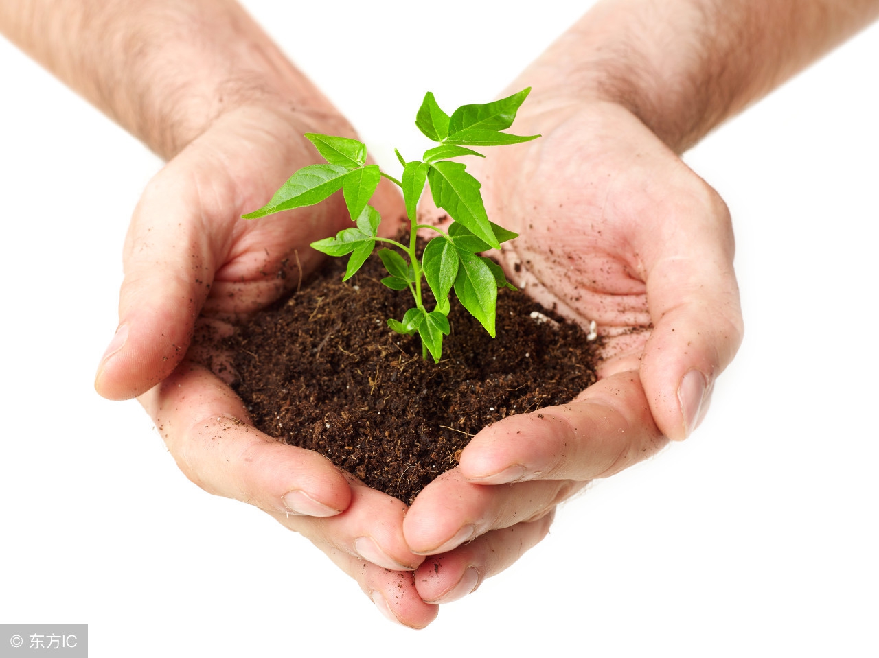 环保等级和十环认证,环保十环认证名单