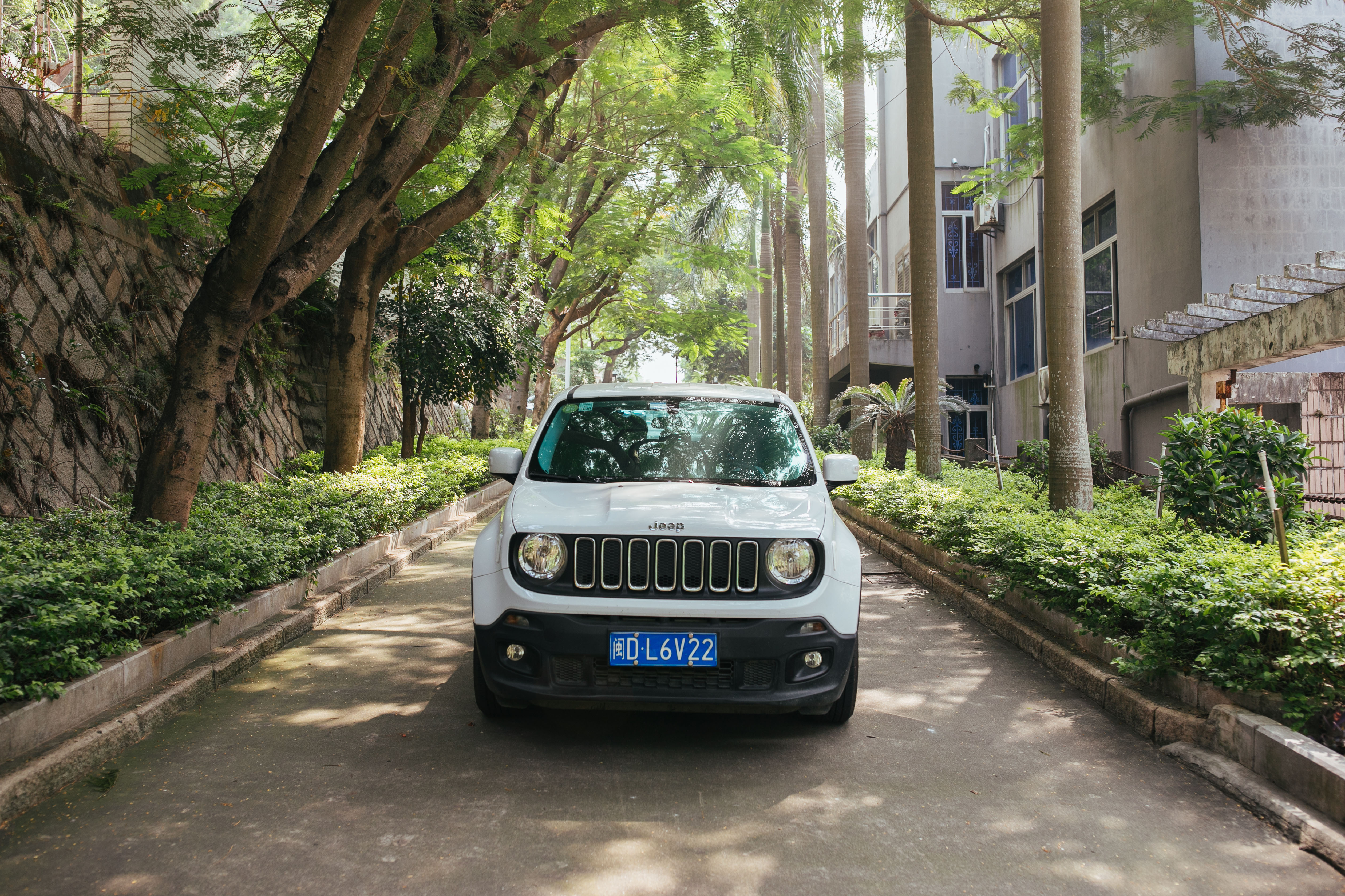 厦门小众网红打卡点,厦门小众打卡点免费