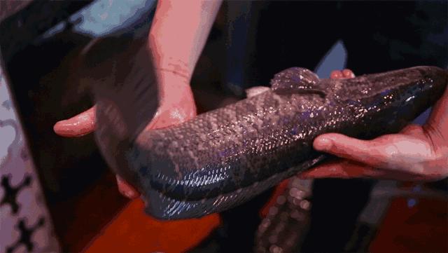 这家店我绝对不私藏!酸菜鱼嫩滑无刺,放心大口吃,超过瘾!一口“栽”在了这锅鱼上……