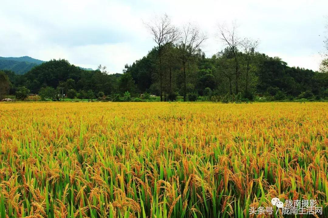 陇南徽县游龙川,徽县游龙川李家寺