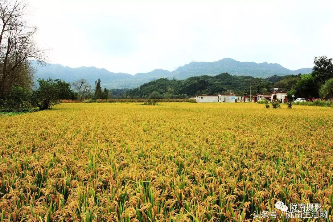 陇南徽县游龙川,徽县游龙川李家寺
