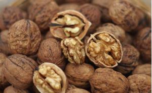 核桃仁怎么保存最好方法,核桃仁怎么保存才不生虫