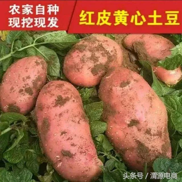 「电商人才」梦起航，像她一样