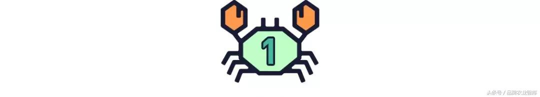 大闸蟹基础知识,大闸蟹科普知识