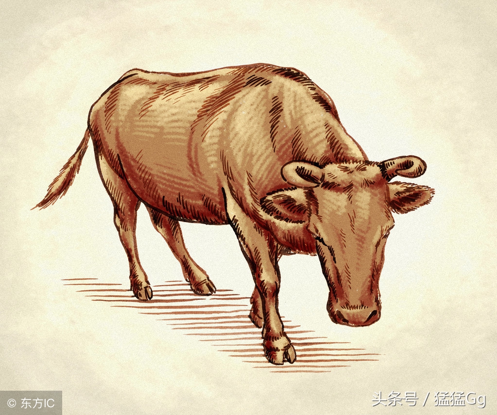 bu~谷，哇哦，什么声音？好刺耳啊……