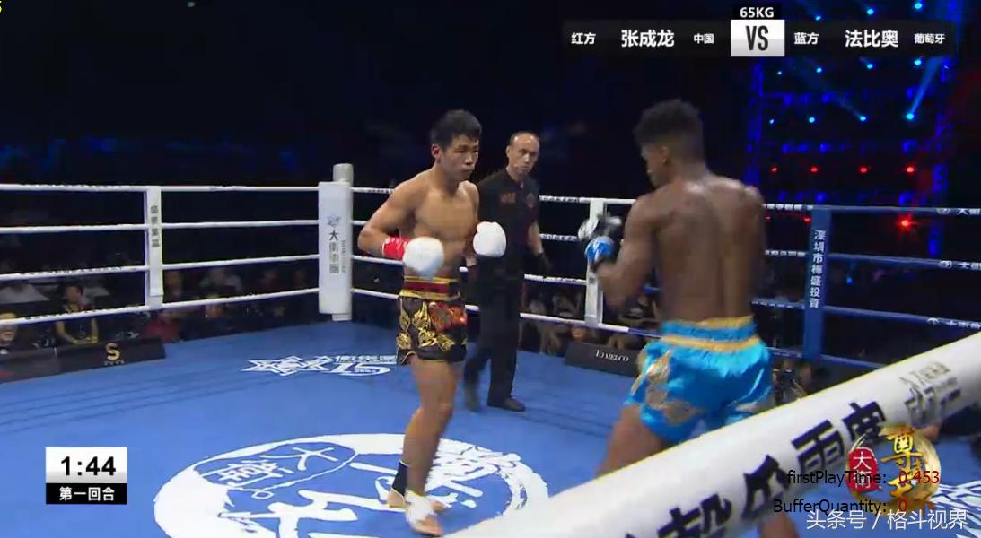 中国拳王张成龙,张成龙搏击集锦