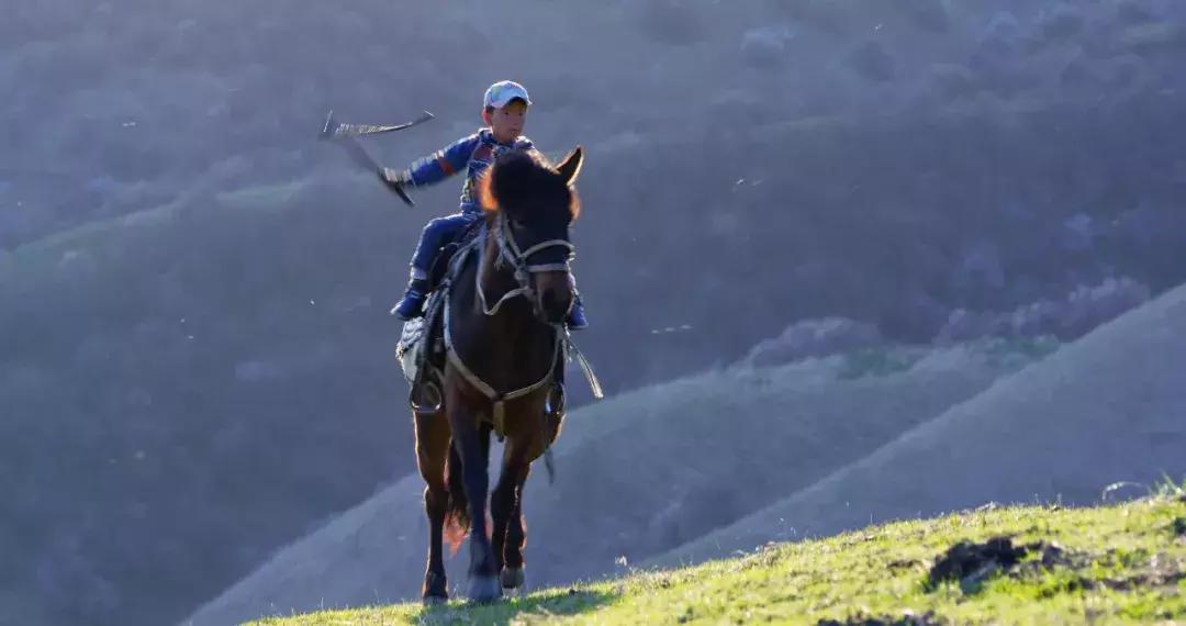 *疆新**，你除了牛羊还有什么？