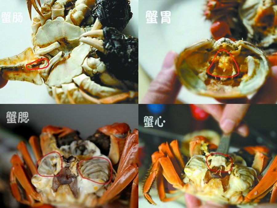 大闸蟹是什么季节吃最好吃,大闸蟹尝鲜啦