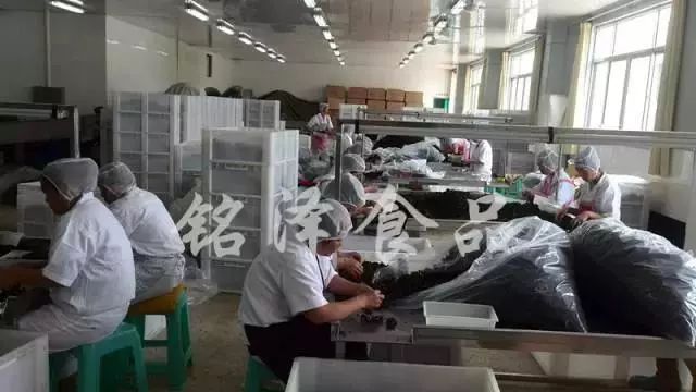 定制个性化专属海藻产品-威海铭泽食品有限公司