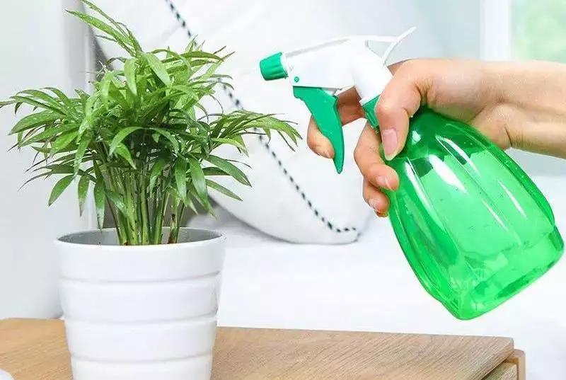 10个真实的现象原理或规律,每天都会发生一些奇怪现象