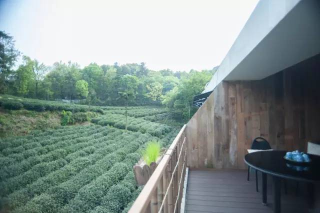 杭州浙大玉泉校区能做饭的民宿,杭州绝美的10间民宿