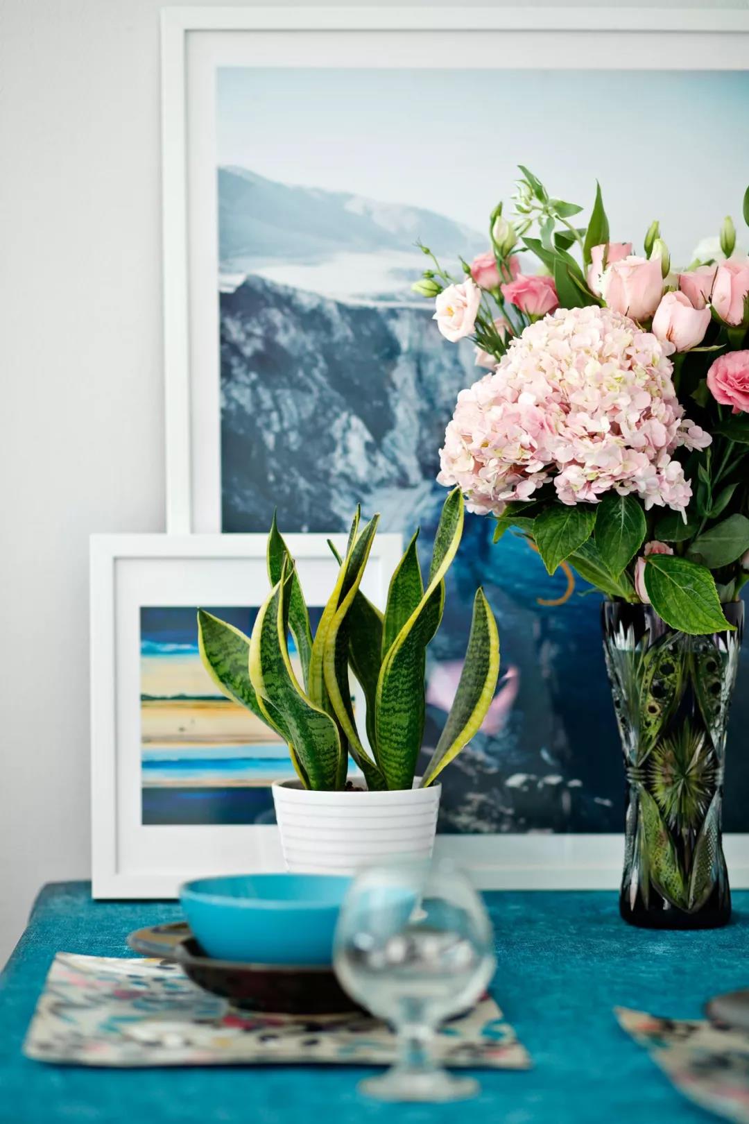 家装设计豪华风,新古典风格家装图片