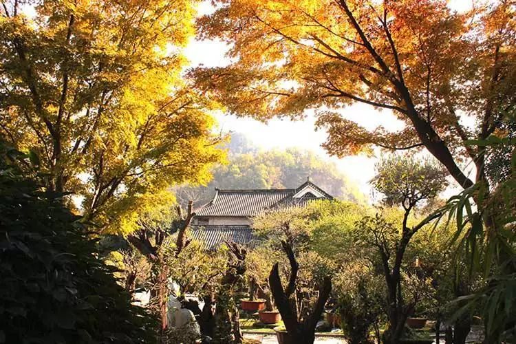 国庆不出浙游玩攻略,国庆出游浙江推荐