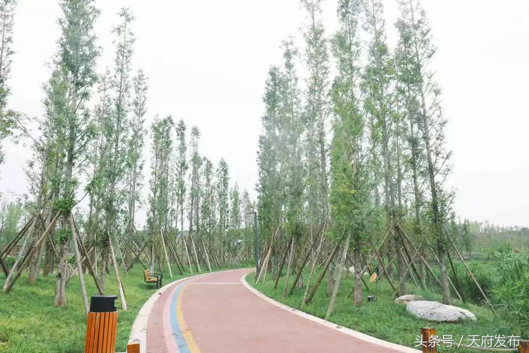 天府新区国庆哪里玩,国庆假期游玩攻略成都天府新区