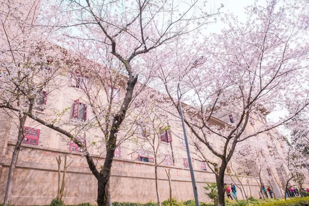 孤独星球中国高清,孤独星球评价山西唯一活着的古城