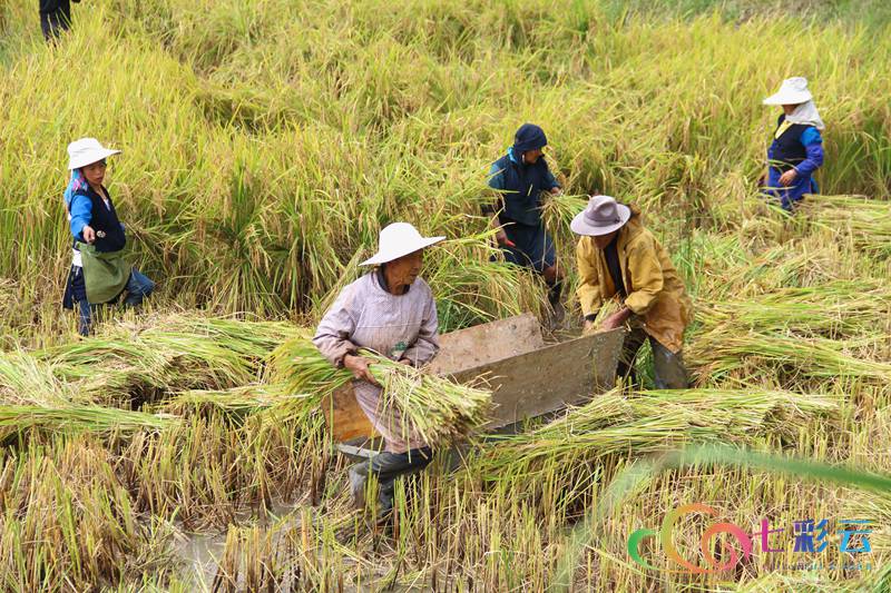 国庆云南周边旅游景点推荐,国庆去云南旅游景点有哪些要求