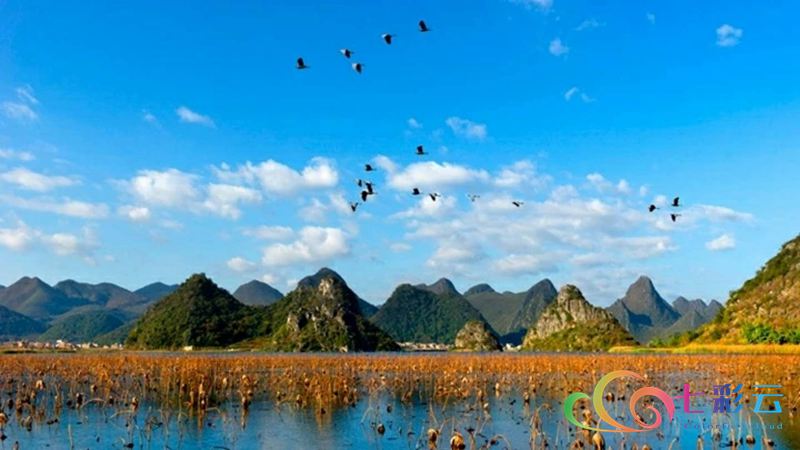 国庆云南周边旅游景点推荐,国庆去云南旅游景点有哪些要求