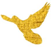 新乡市第十一届第一次人大会,新乡人大第十四届第一次会议