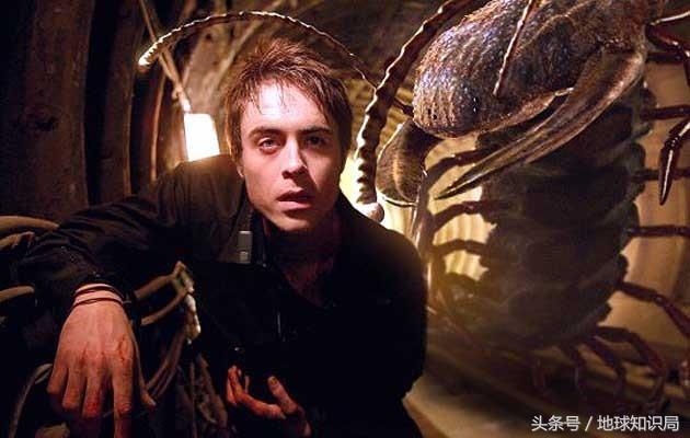 蜻蜓比盆大,蜘蛛脸上挂,远古巨虫要称霸——可以!地球知识局