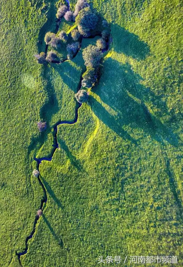 什么是中国,什么是中国特色社会主义