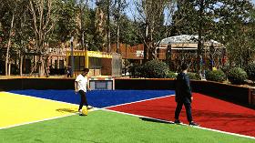 郑州足球小镇2019,郑州足球小镇有真草足球场吗