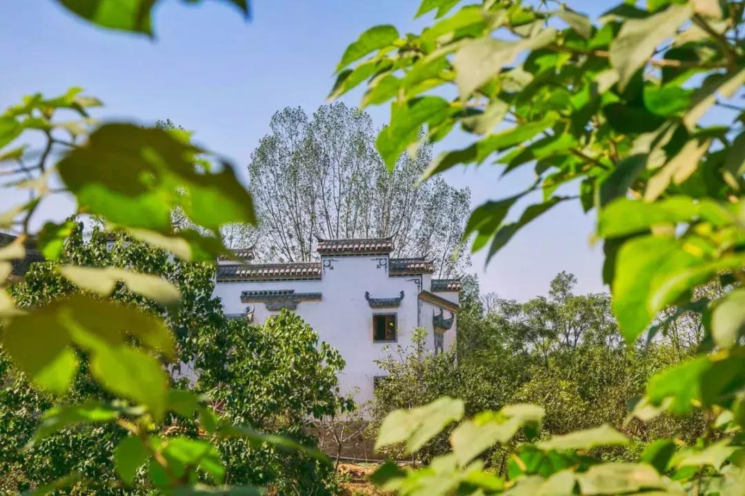 郑州足球小镇有真草足球场吗,郑州足球小镇现状