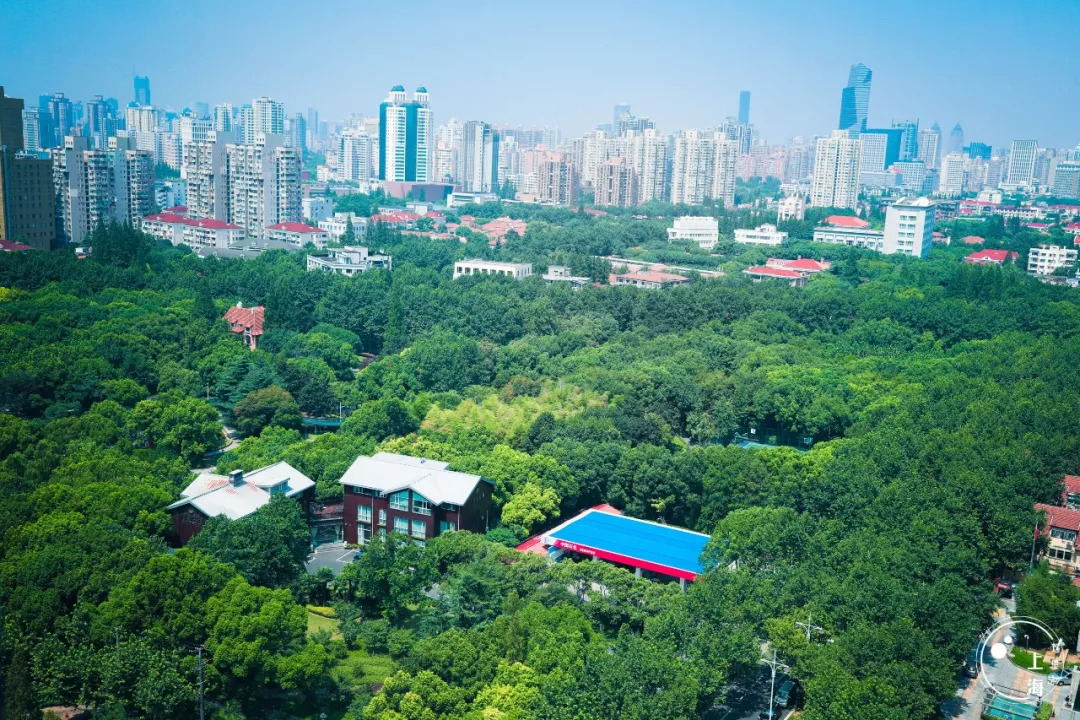 上海徐家汇有必要逛吗,上海人逛的商圈