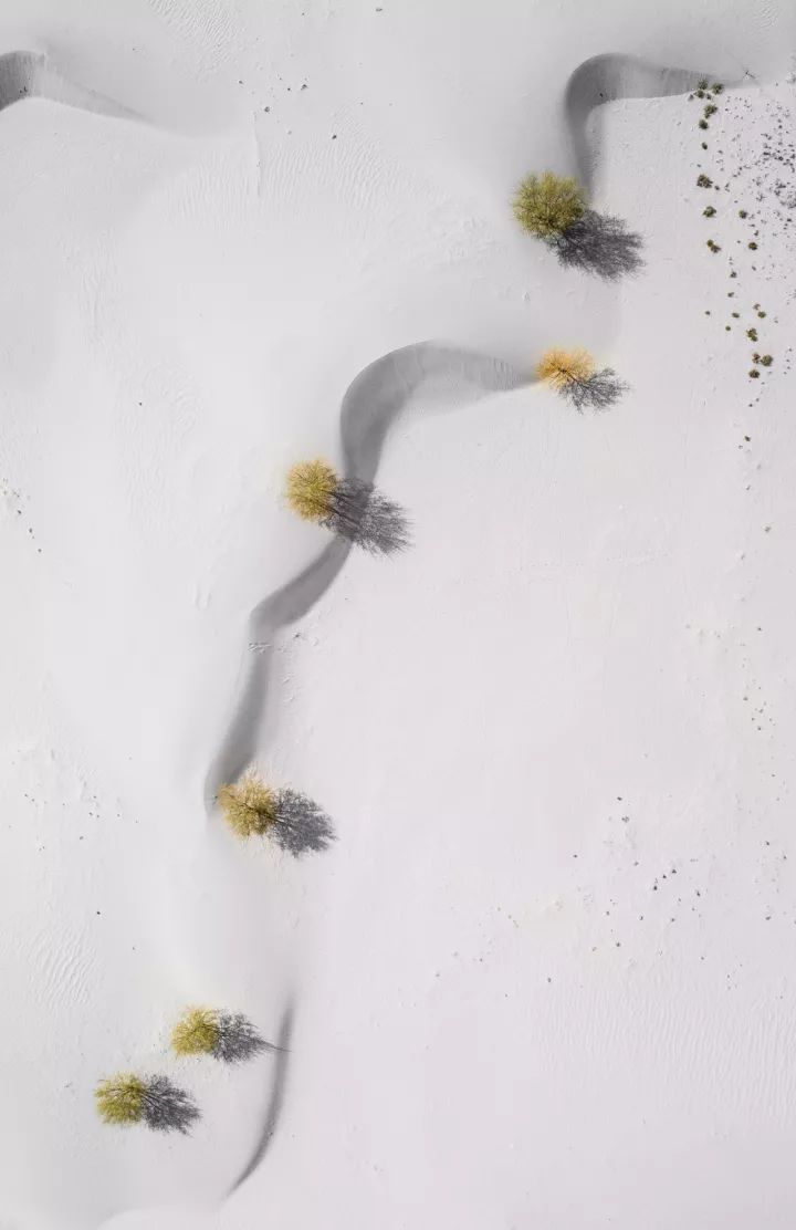 什么是中国传统文化,什么是中国文化