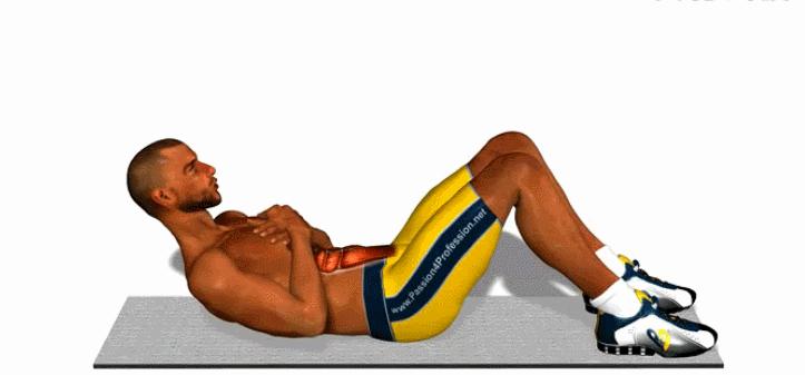 腹部人鱼线怎么练,训练腹部先出人鱼线后出马甲线吗