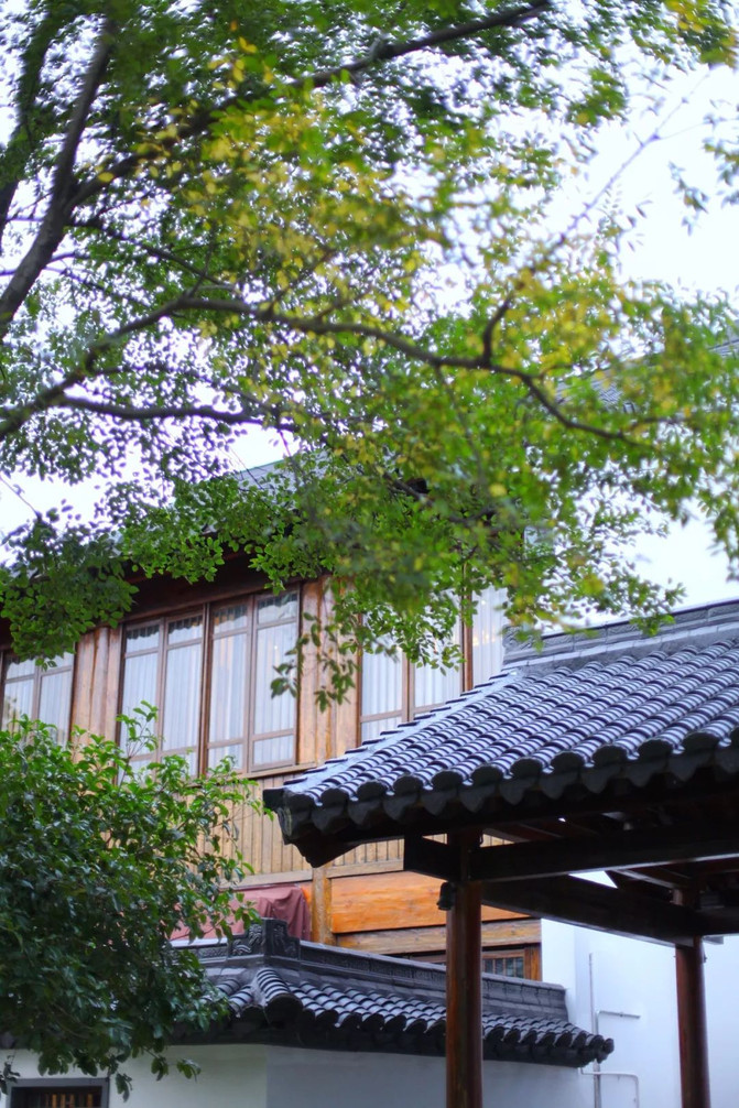 江南旅游注意事项及出行指南,旅游江南水乡