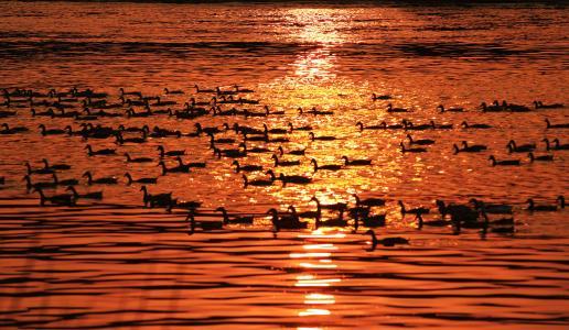 通货膨胀谁是受害者谁是受益者,通货膨胀爆发谁是最大赢家