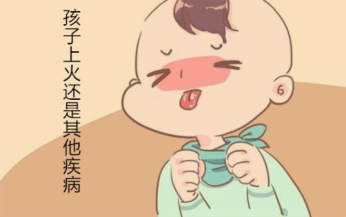 宝宝尿黄有味做什么检查,尿的异味特别大刺鼻是什么原因呢