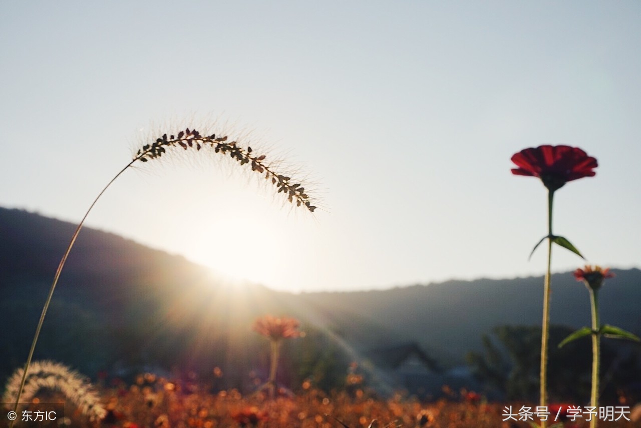小学语文书上有关诚信的名言,关于诚信的格言名句