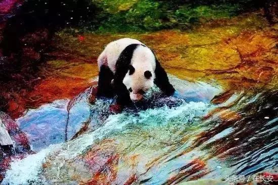 西安秦岭自驾一日游免费景点,西安出发一小时深藏秦岭山水秘境