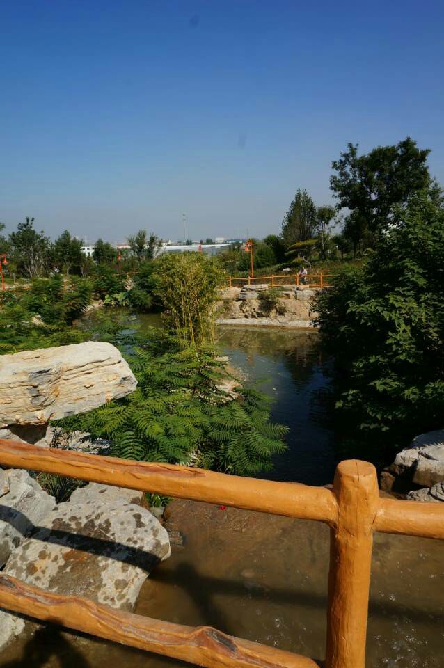 淄博张店青龙山景区,淄博市张店区青龙山公园简介