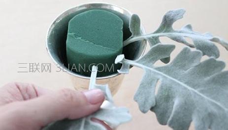 插花初学者马蹄莲插花指南,插花教程新手入门简单