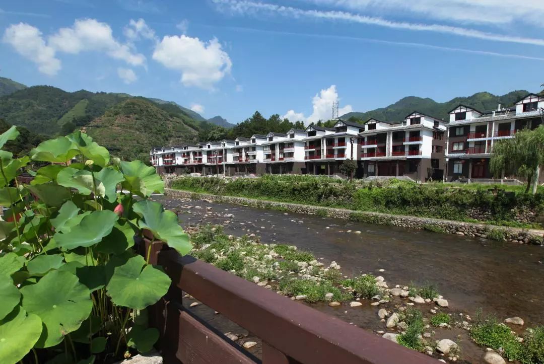 全国十大示范村名单,湖南100个农村特色示范村视频