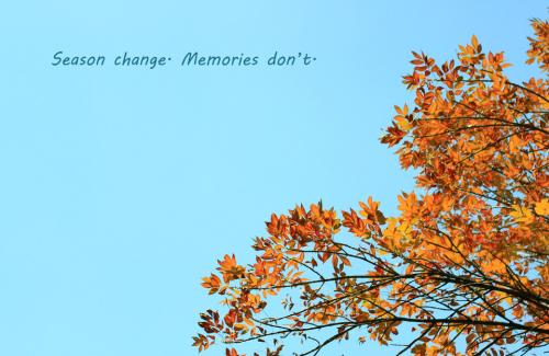 一招解决头皮屑的小妙招,解决头皮屑过多的小技巧