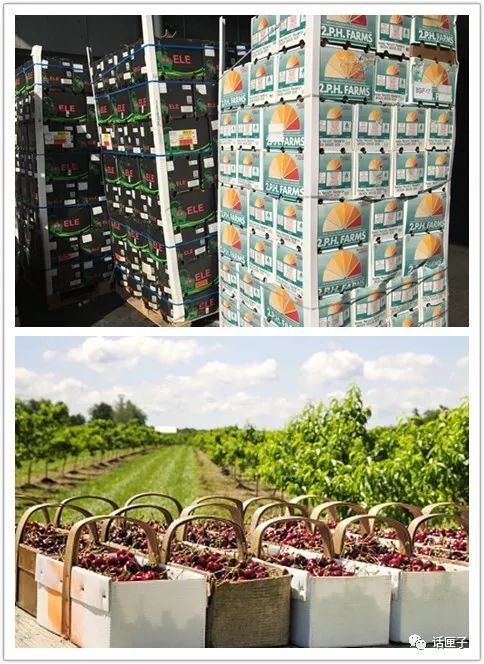 上海地铁口卖现榨橙汁,橙子进口榨汁机