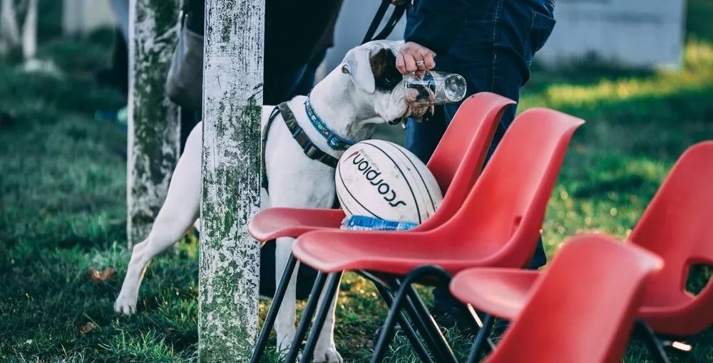 七天的距离,还是放不下你!