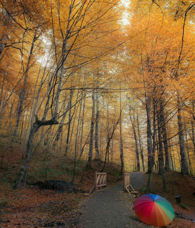 十二生肖出生月份都是什么星座,十二生肖出生的月份婚配表