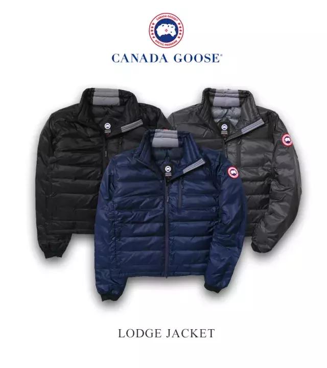 加拿大鹅什么时候涨价,加拿大鹅哭了的视频