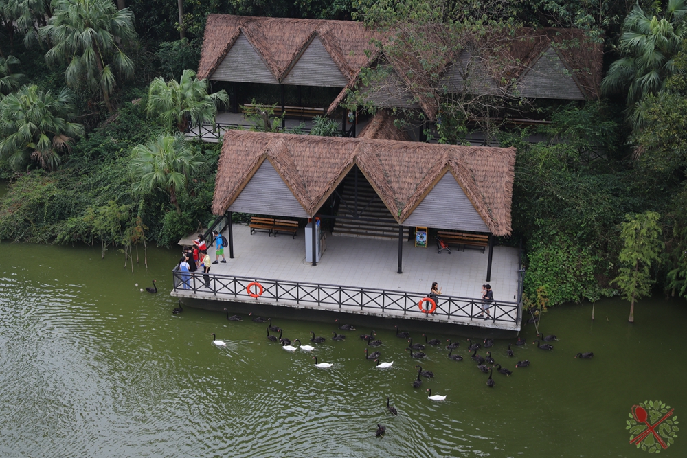 广州长隆乐园最全游玩攻略,广州长隆乐园旅游攻略三天两夜