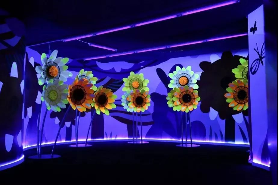 上海有个很美的公园,上海特别美而且安静的公园