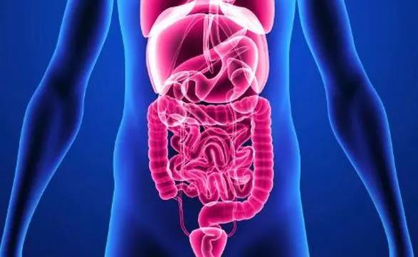 补脾益肠丸治疗肠易激综合征,如何用中药调理肠易激综合征