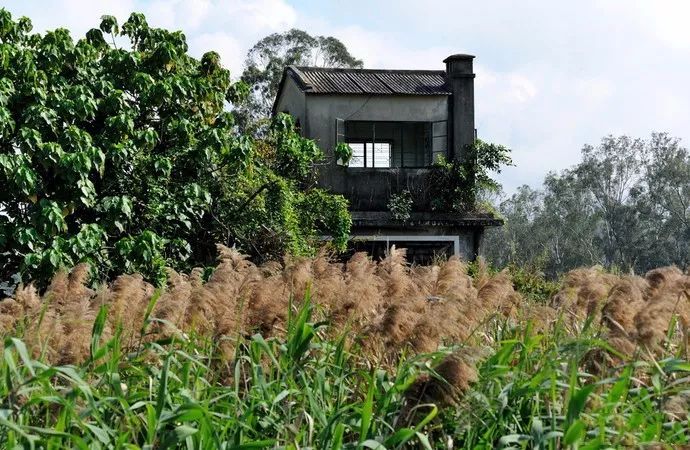 高铁郑州到香港西九龙如何过关,郑州直达香港西九龙高铁站