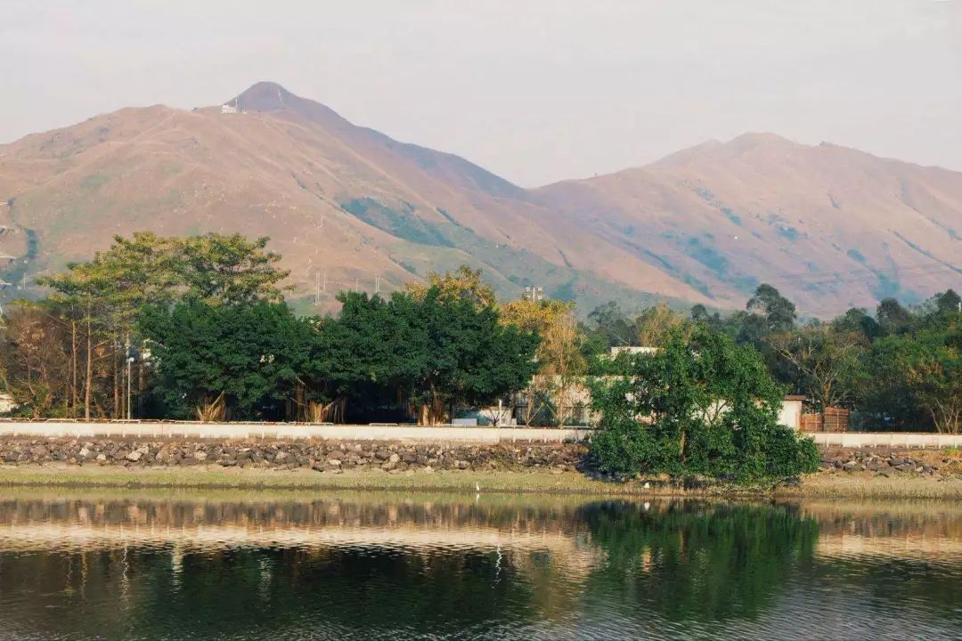 高铁郑州到香港西九龙如何过关,郑州直达香港西九龙高铁站