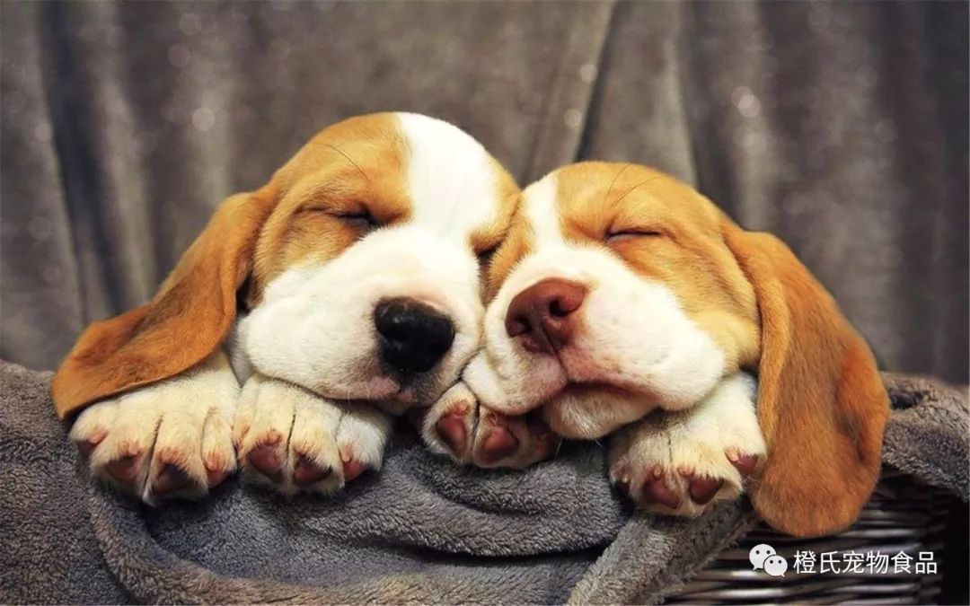 国产粮vs进口粮,国产粮和进口粮混在一起