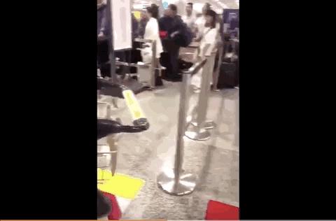 全国百日严打整治行动抓捕人数,三次全国范围的严打行动