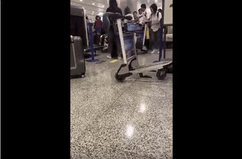 全国百日严打整治行动抓捕人数,三次全国范围的严打行动